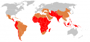typhoid fever prevalence