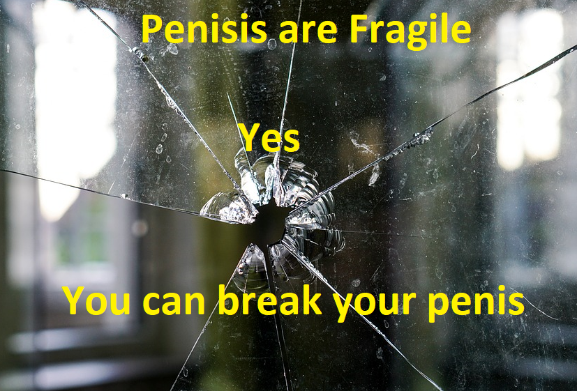 fragile penises
