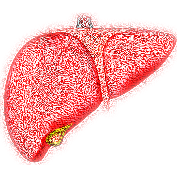 hepatomegaly
