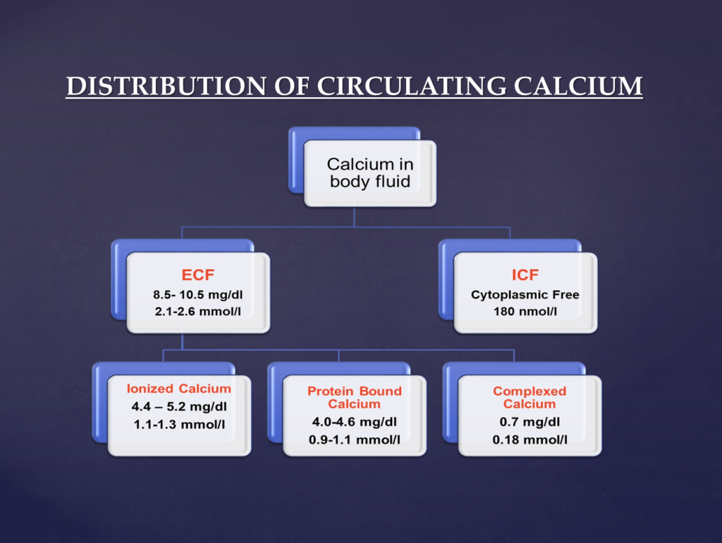 calcium distribution in the body